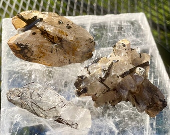 Tourmalated Quartz Crystal Clusters Set of 3