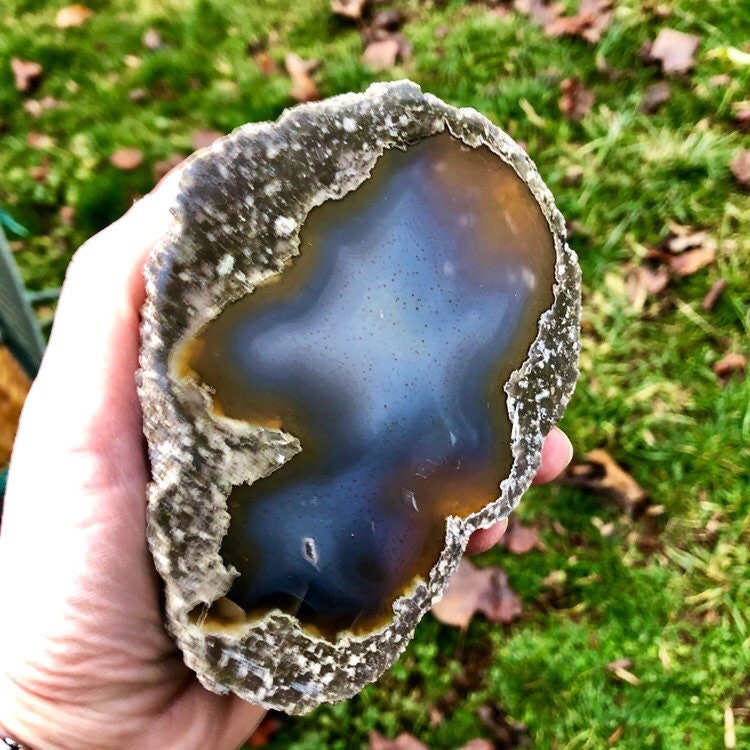 Large Oregon Thunder Egg Half polished for display or Home Decor