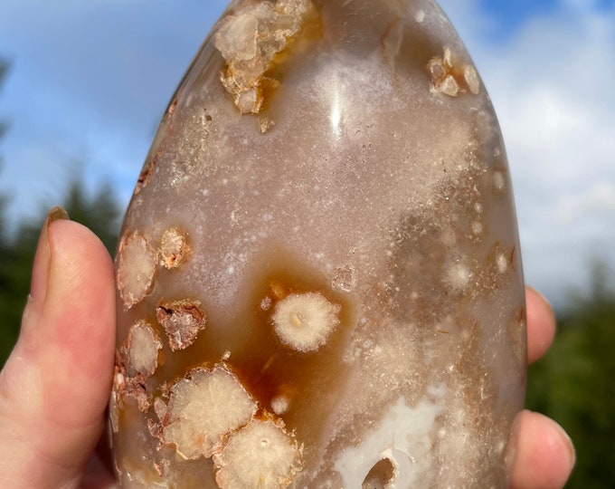 Sakura Agate Standing Freeform 1.41 lbs