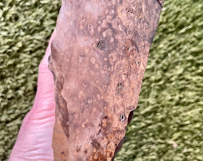 1.6 lb Biggs Picture Jasper Rough cut Lapidary Mineral Specimen