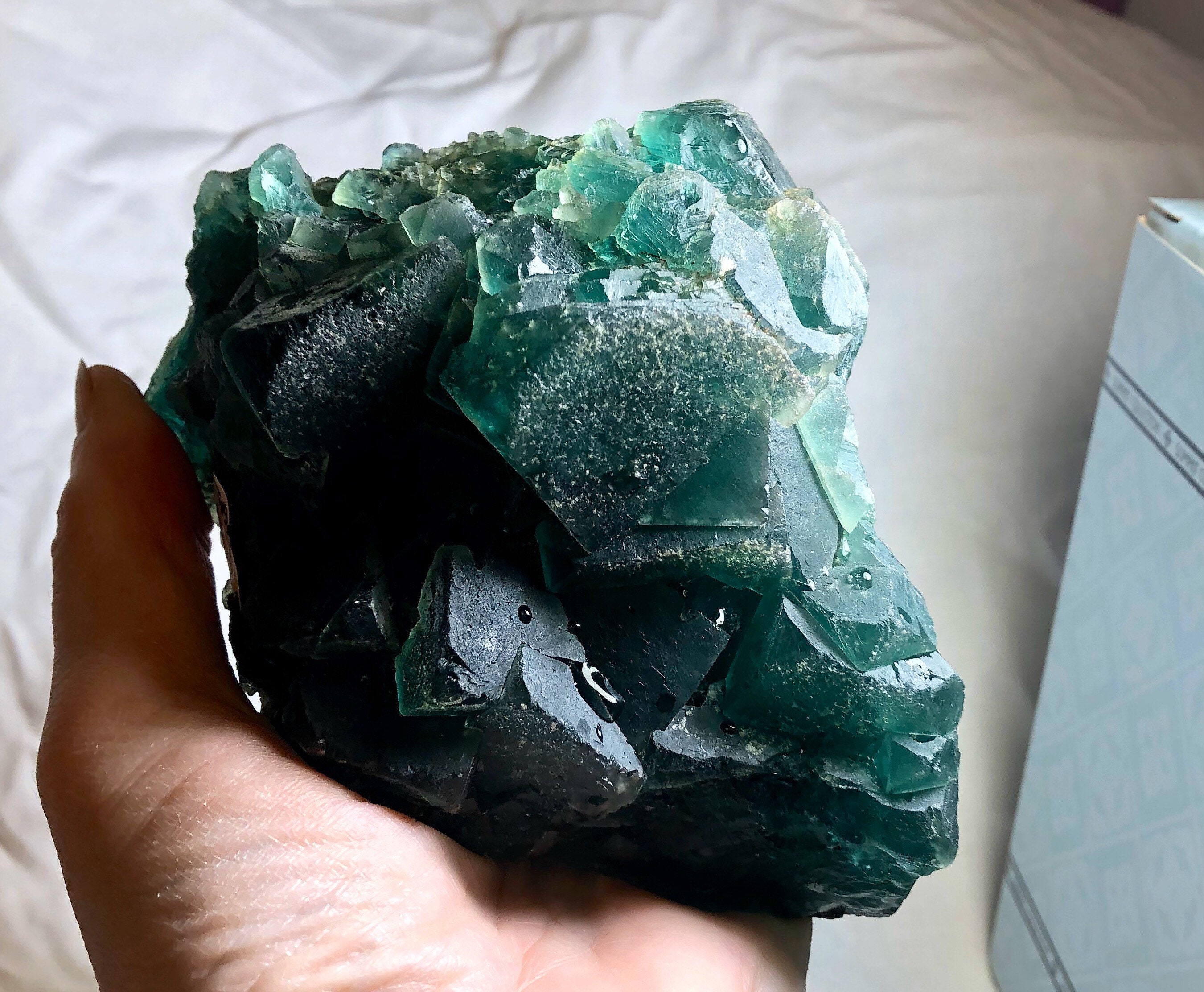 1048g Large Dark Green Cubic Fluorite Crystal Cluster Specimen