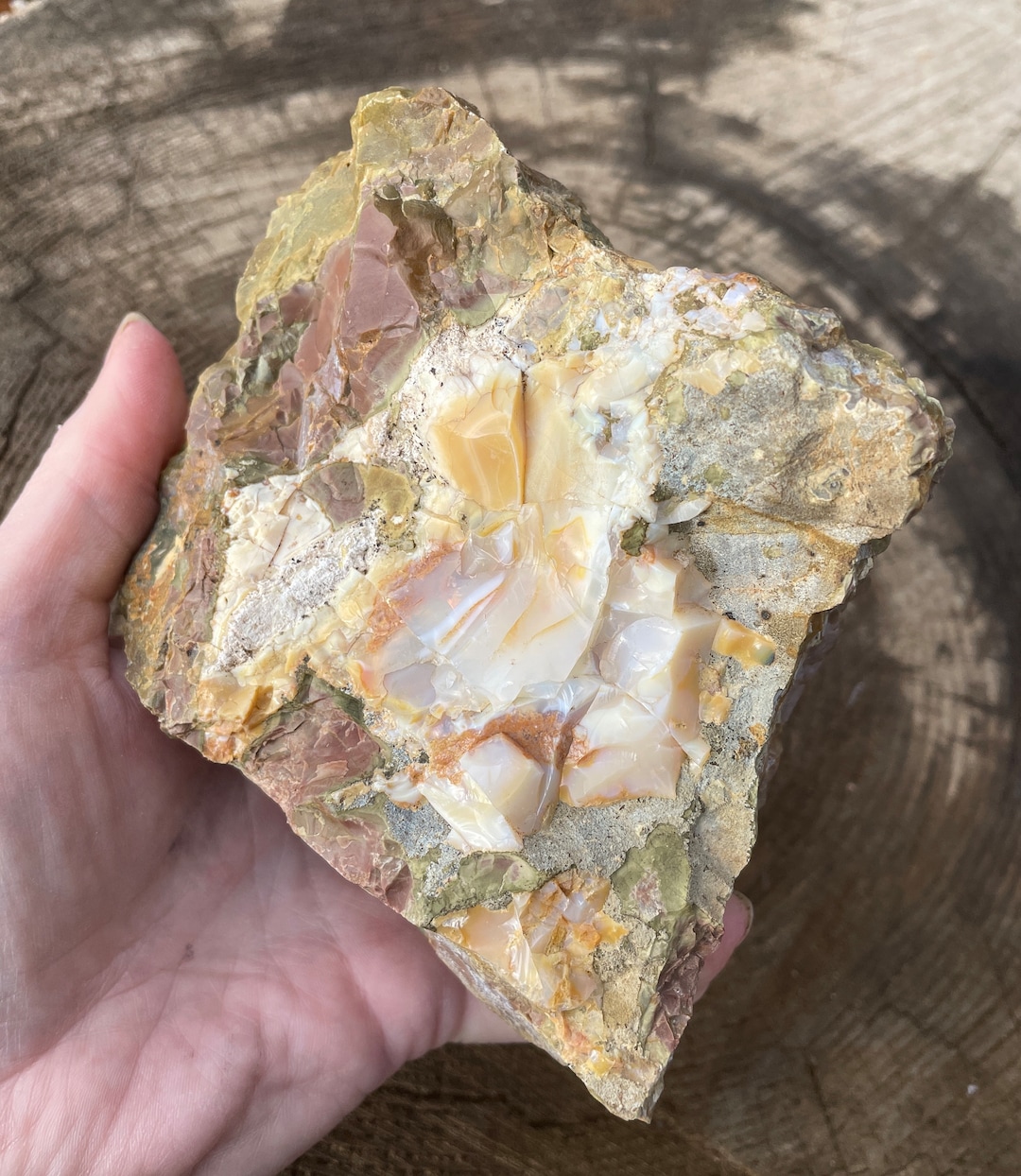 Oregon Opal in Rhyolite Jasper From Opal Butte Mineral Display Specimen ...