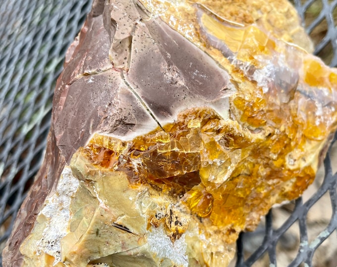 Oregon Fire Opal in Rhyolite Jasper Mineral Display Specimen 3.17 lbs