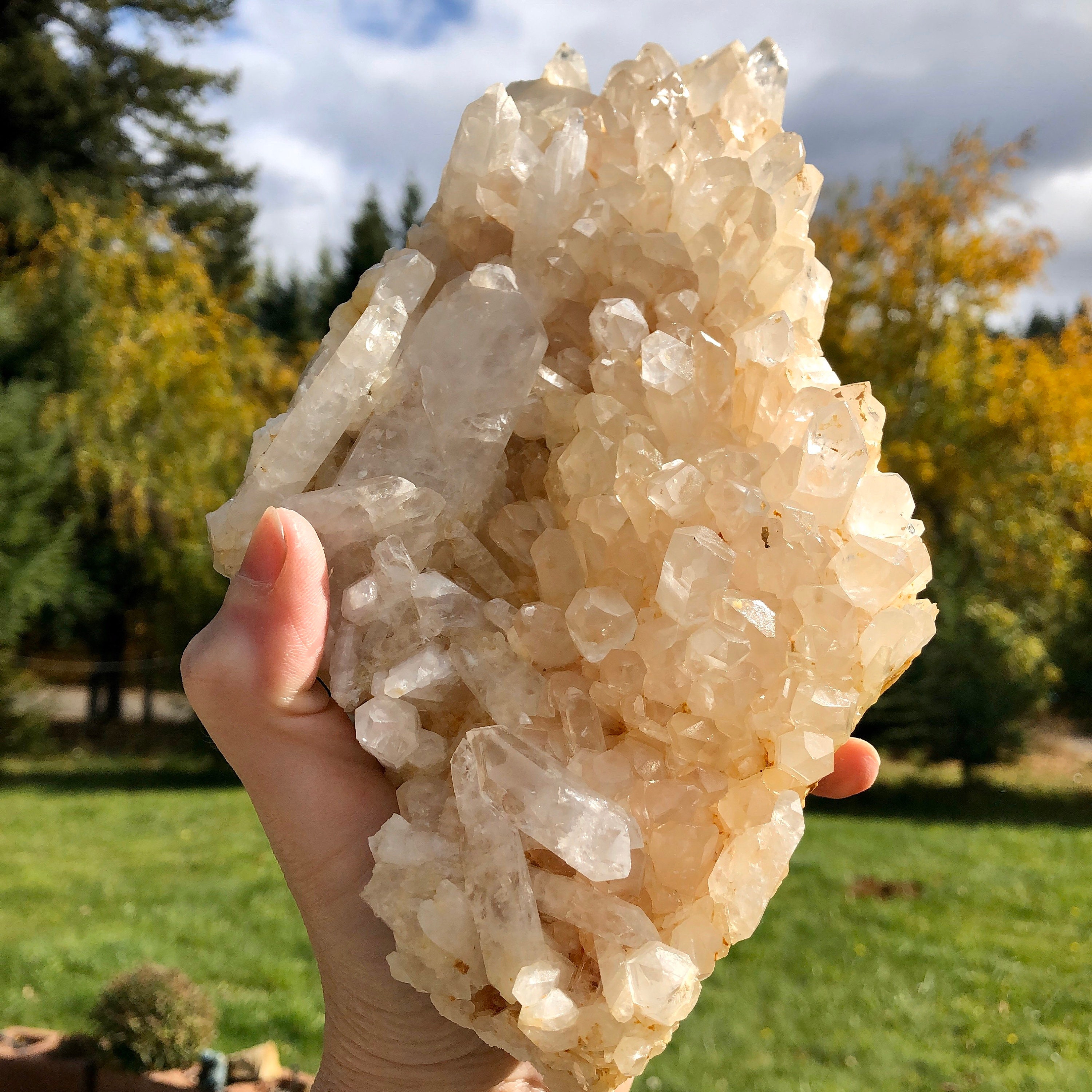 1894g Clear Quartz Crystal Cluster Large Specimen with Double