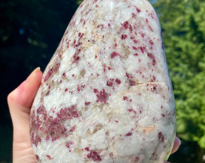 Rubellite Tourmaline Standing Freeform 3.35 lbs