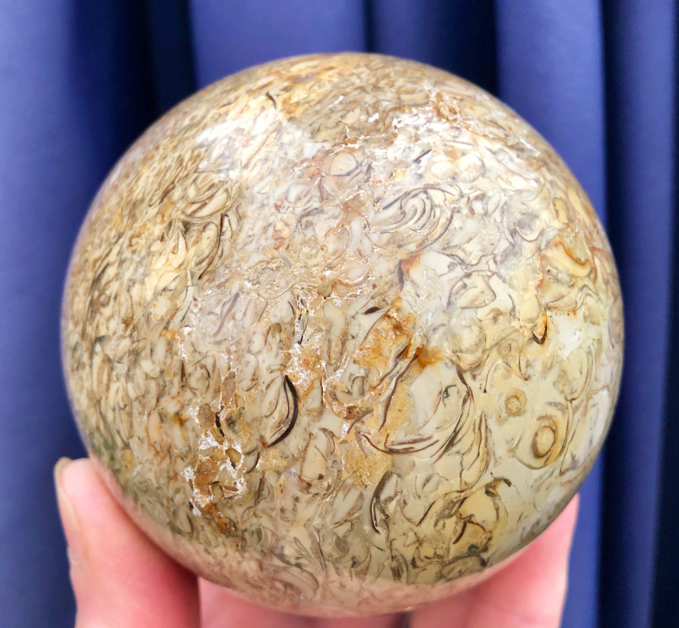 79mm Fossil Stone Jasper Sphere Orb Ball Mineral Display Specimen