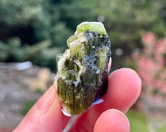 Green Tourmaline Crystal Cluster 27.2 grams