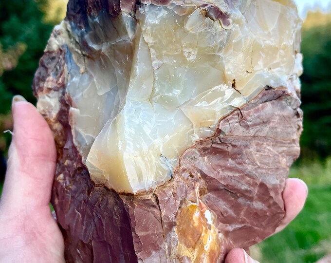 Oregon Opal on Rhyolite Jasper Mineral Display Specimen 2.48 lbs