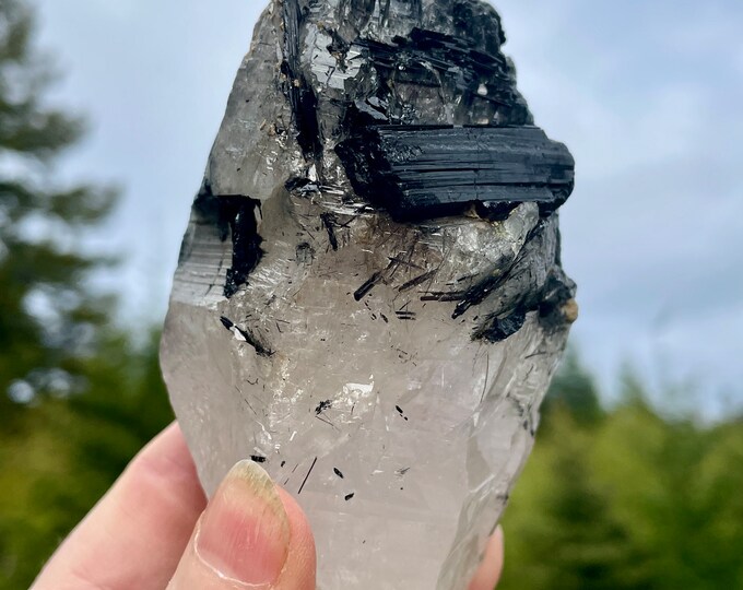 Tourmalated Quartz Crystal Mineral Display Specimen 404 grams