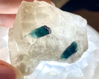 87.8g Blue Tourmaline in Quartz Crystal Cluster Specimen
