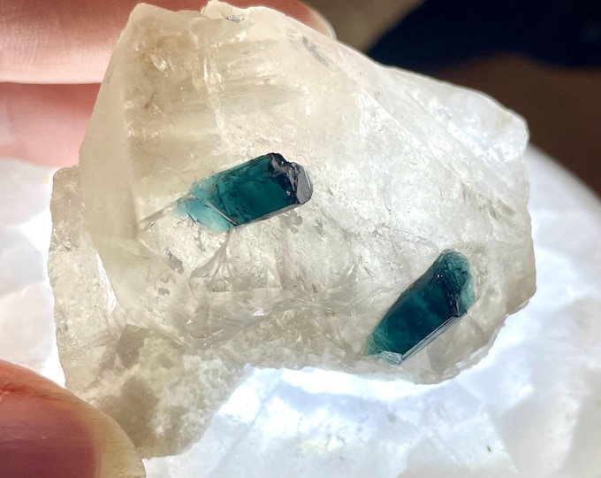 87.8g Blue Tourmaline in Quartz Crystal Cluster Specimen