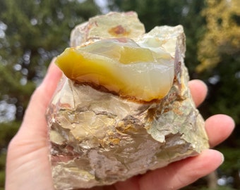 Green Oregon Opal on Rhyolite Jasper Mineral Display Specimen 1.61 lbs