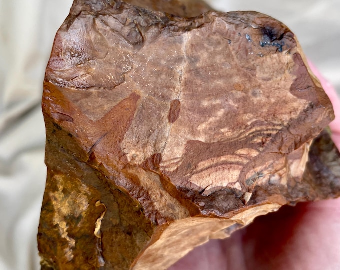 2.4 lb Biggs Picture Jasper Rough cut Lapidary Mineral Specimen