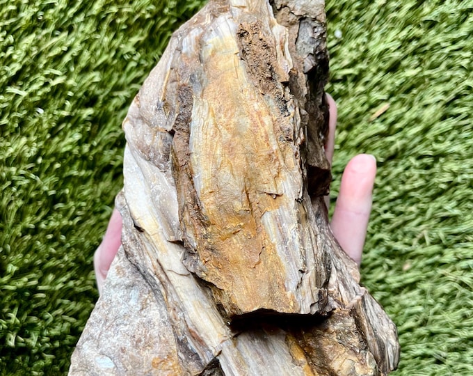 Opalized Agatized Petrified Wood Mineral Display Specimen 2.42 lbs