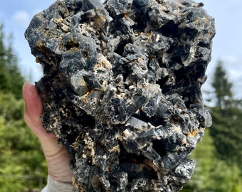 Tourmalated Quartz Crystal Cluster 3.93 lbs