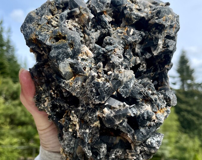 Tourmalated Quartz Crystal Cluster 3.93 lbs