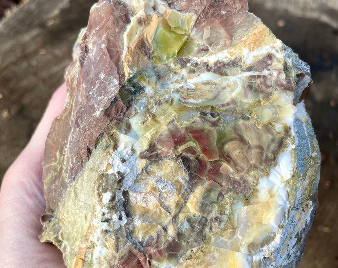 1.38 lbs Old Stock Oregon Opal on Rhyolite Jasper Mineral Display Specimen