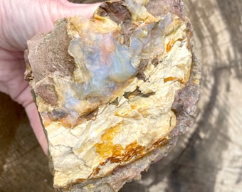 Oregon Opal in Rhyolite Jasper from Opal Butte Mineral Display Specimen 1.78 lbs