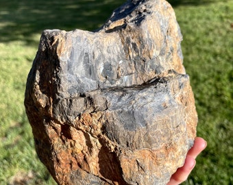 Agatized Petrified Wood Stump Mineral Display Specimen 9.16 lbs