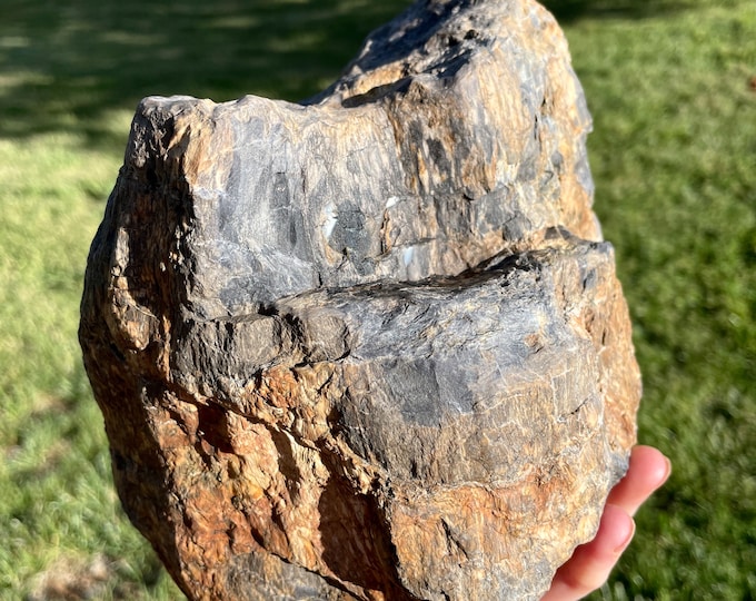 Agatized Petrified Wood Stump Mineral Display Specimen 9.16 lbs