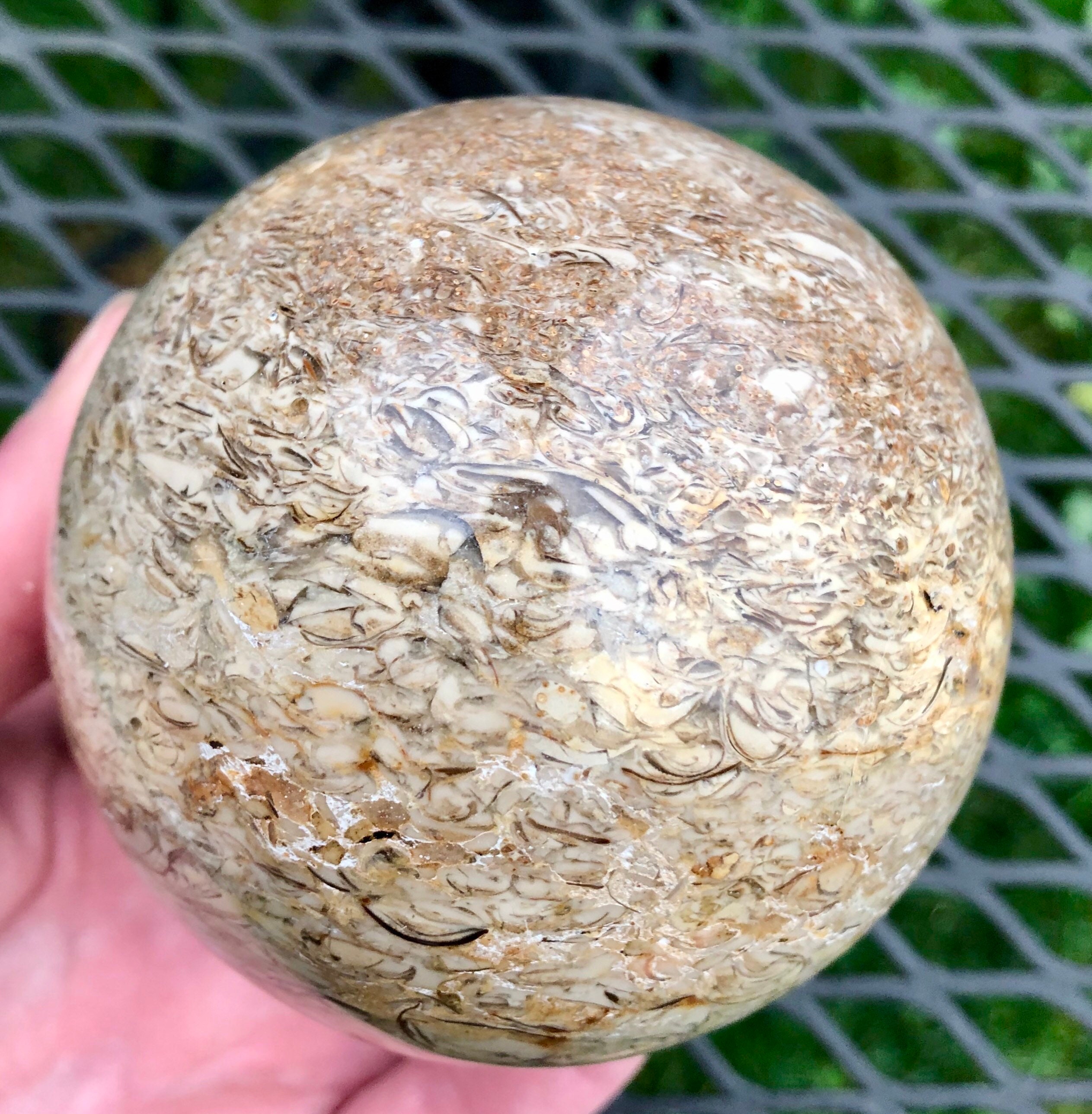 79mm Fossil Stone Jasper Sphere Orb Ball Mineral Display Specimen