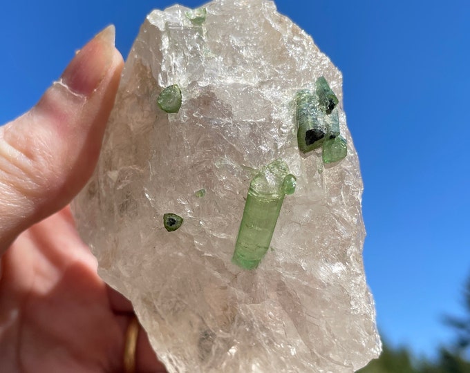 Green Tourmaline in Quartz 280.9 grams