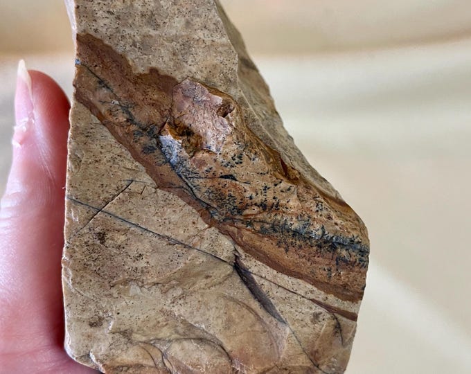 2.16 lb Biggs Picture Jasper Rough Lapidary Mineral Specimen
