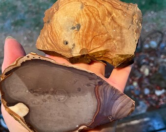 266g Biggs Jasper and Deschutes Jasper Rough Lapidary Stones
