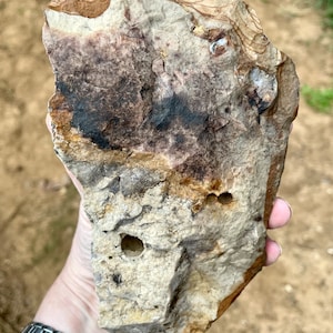 Wildhorse Owyhee Jasper Rough Lapidary Mineral Specimen 3.08 lbs