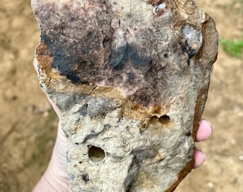 3.08 lb Wildhorse Owyhee Jasper Rough Lapidary Mineral Specimen