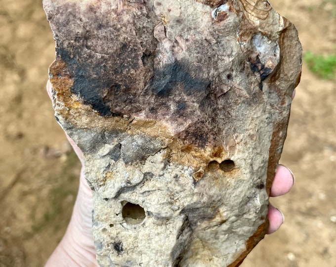 Wildhorse Owyhee Jasper Rough Lapidary Mineral Specimen 3.08 lbs
