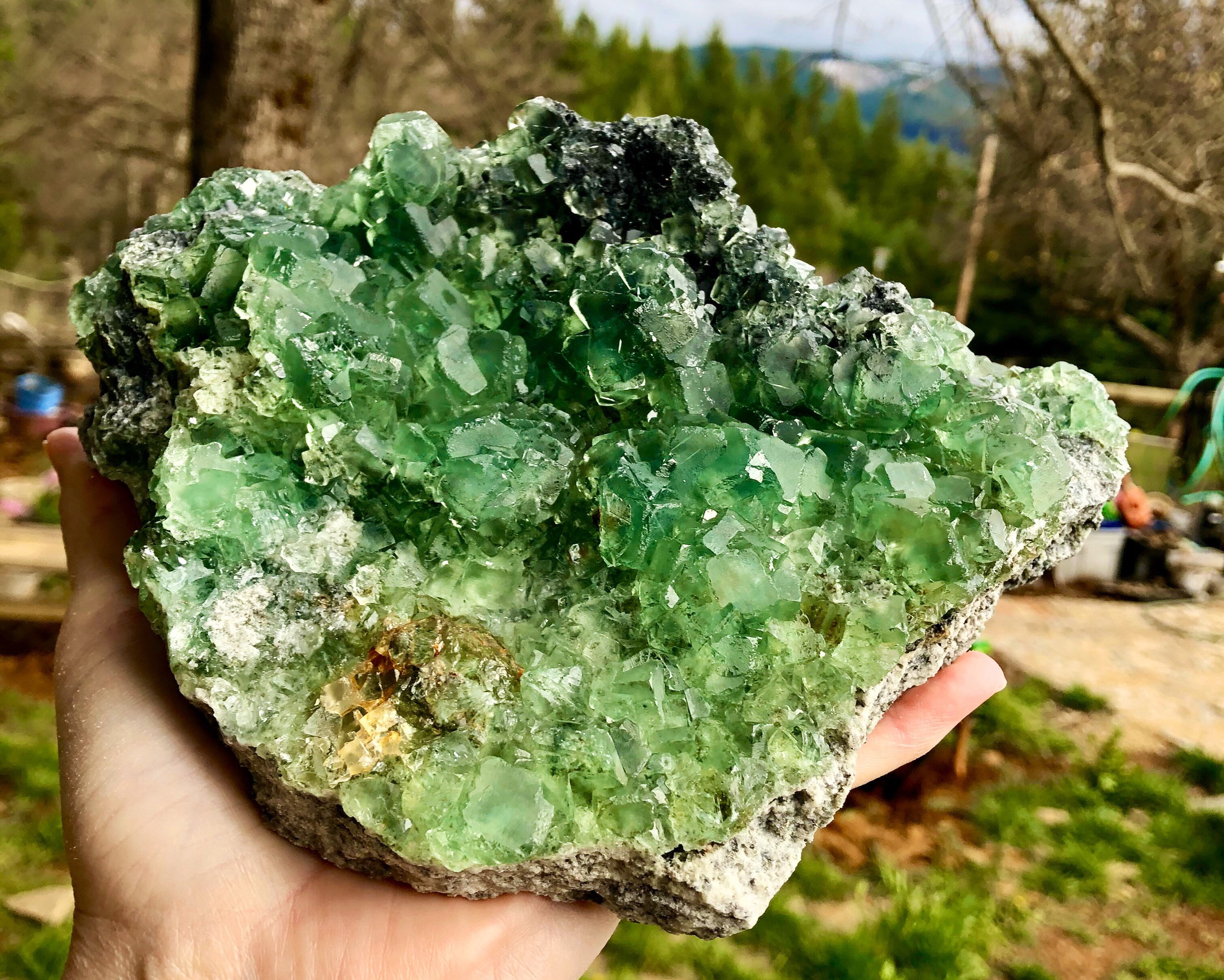 1898g Large Vivid Green Cubic Fluorite Crystal Cluster Mineral Display