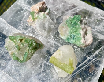 Elbaite Tourmaline Crystal Clusters Set of 4