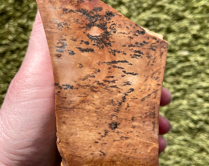1.83 lb Biggs Picture Jasper Rough cut Lapidary Mineral Specimen