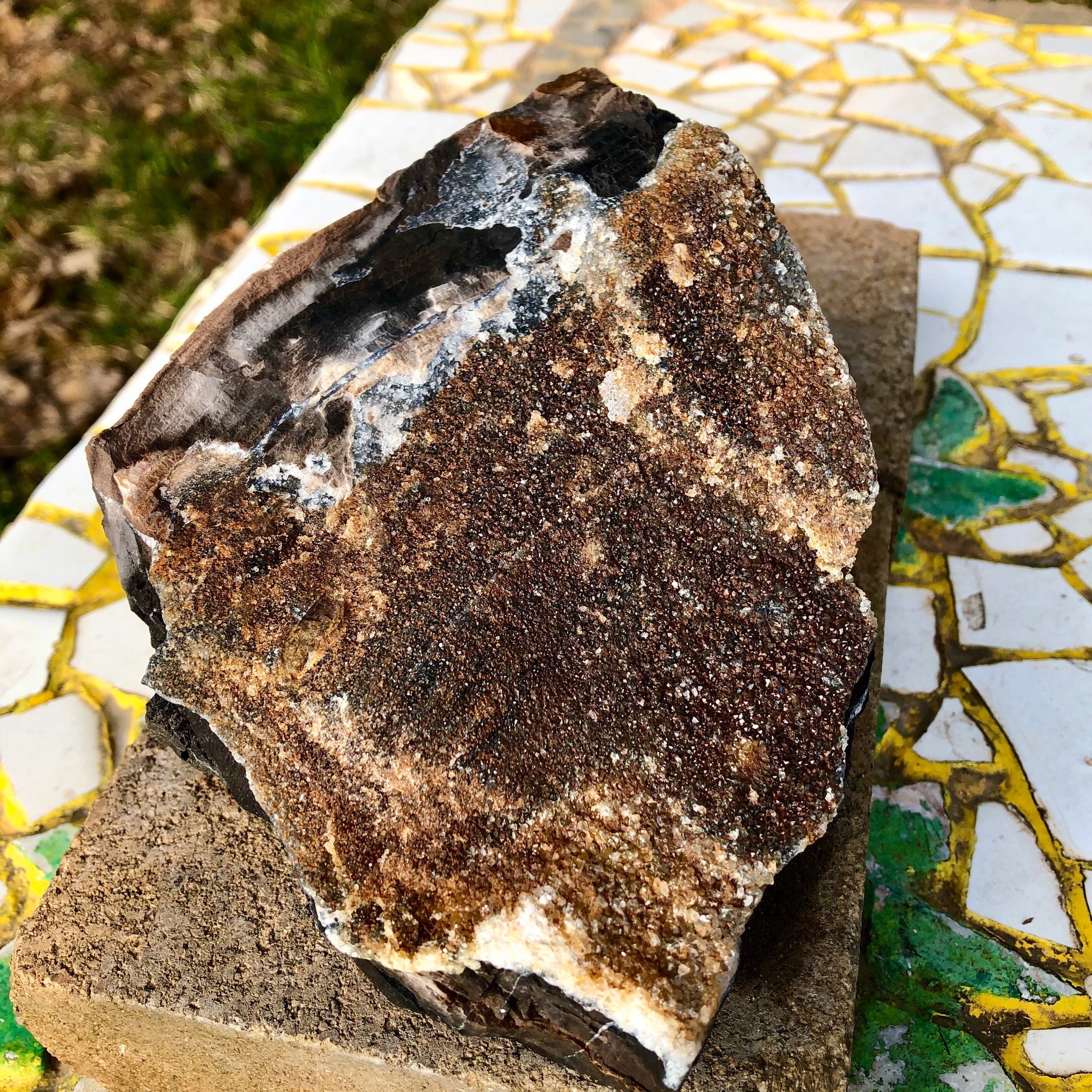 858g Petrified Wood With Druzy Quartz Crystals Mineral Display Specimen