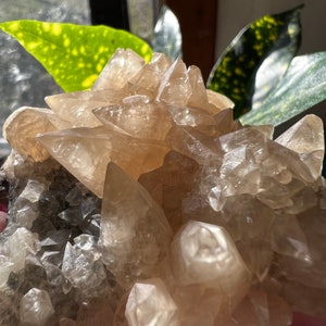 Sparkly Crystal Rock Slab Shiny Mineral Specimen Gift Unique Dogtooth Calcite Flat Mexico Stand Large Crystal Specimen Natural Sparkly Crystal Rock Slab Shiny Mineral Specimen Gift Unique Dogtooth Calcite Flat Mexico Stand Large Crystal Specimen Natural