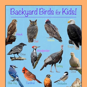 Backyard Birds for Kids! Poster – A Fun and Educational Bird Chart for Our Feathered Friends