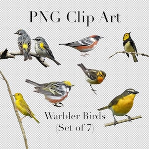 Warbler Bird (7er Set) PNG Clipart mit transparentem Hintergrund Photoshop Overlays. Werbung, Banner, Bildung, Scrapbooking,