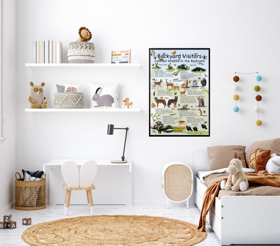 Backyard Visitors Educational Kids Nature Animal Poster Providing
