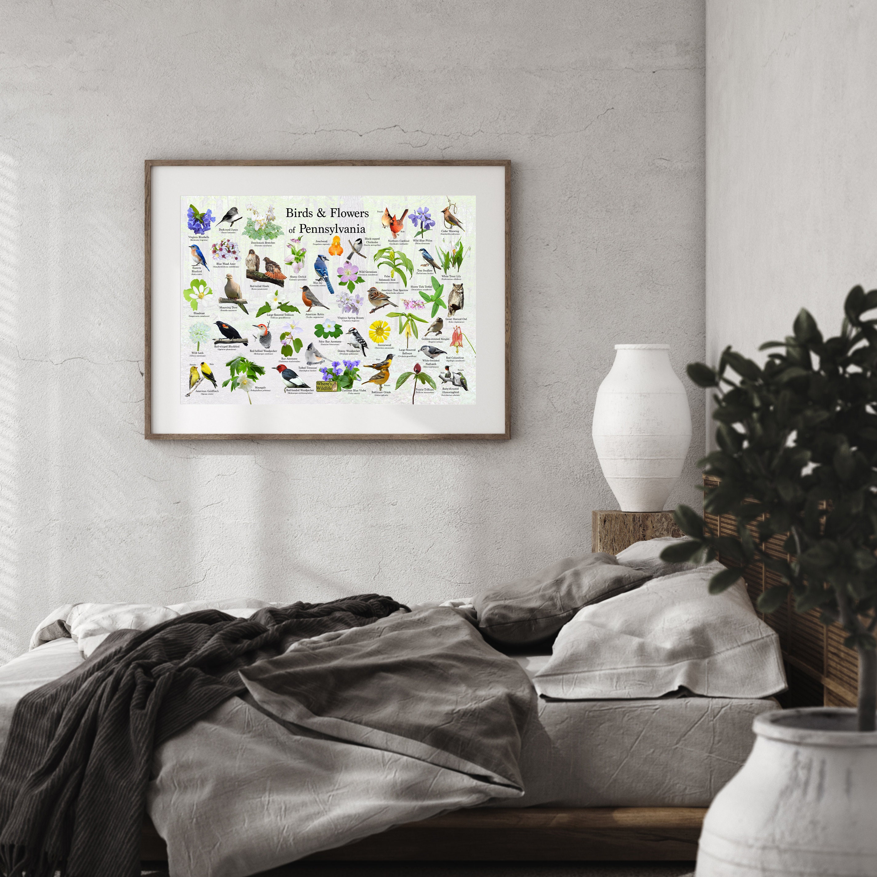 Birds and Flowers of Pennsylvania Poster / State Flower & Bird Guide ...