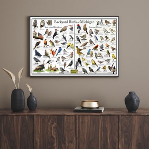 Backyard Birds of Michigan Bird Identification Poster Divided Into Year ...