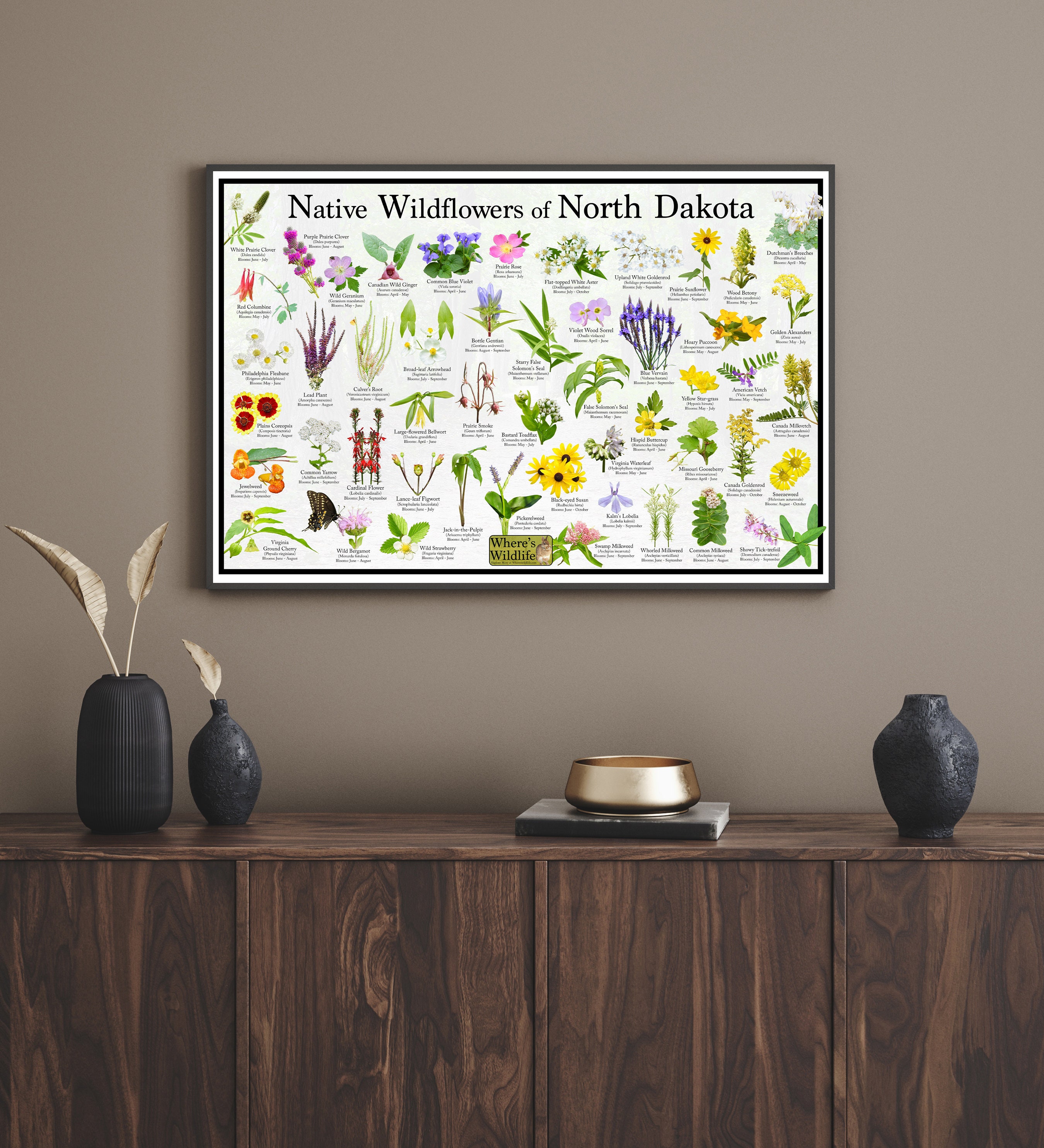 Native Wildflowers of North Dakota / State Flower Field Guide Providing ...