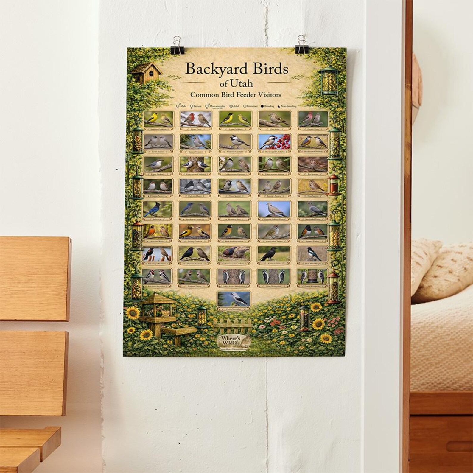 Utah Backyard Birds Poster | Common Feeder Bird Identification Chart - Etsy