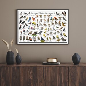 Backyard Birds of Pennsylvania Bird Identification Poster Divided Into ...