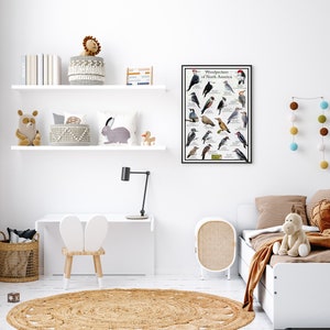 Puede incluir: Una estanter&iacute;a blanca con una variedad de art&iacute;culos en ella, incluyendo un animal de peluche, una cesta, un libro y un p&oacute;ster. El p&oacute;ster es una ilustraci&oacute;n colorida de diferentes tipos de p&aacute;jaros carpinteros. La estanter&iacute;a est&aacute; en una habitaci&oacute;n con una pared blanca y una alfombra blanca.
