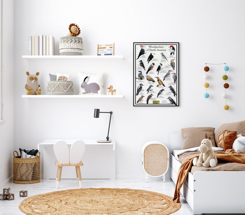 Puede incluir: Una estanter&iacute;a blanca con una variedad de art&iacute;culos en ella, incluyendo un animal de peluche, una cesta, un libro y un p&oacute;ster. El p&oacute;ster es una ilustraci&oacute;n colorida de diferentes tipos de p&aacute;jaros carpinteros. La estanter&iacute;a est&aacute; en una habitaci&oacute;n con una pared blanca y una alfombra blanca.