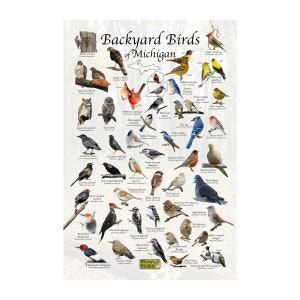 May include: A colorful poster featuring illustrations of 36 different bird species commonly found in backyards in Michigan. The poster is titled "Backyard Birds of Michigan" and includes the Where's Wildlife logo.