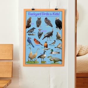Backyard Birds for Kids! Poster – A Fun and Educational Bird Chart for ...