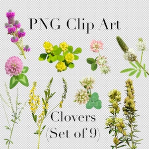 Kleeblumen Nordamerikas (9er Set) PNG Clipart mit transparentem Hintergrund Photoshop Overlays für Werbung, Bildung, Schule