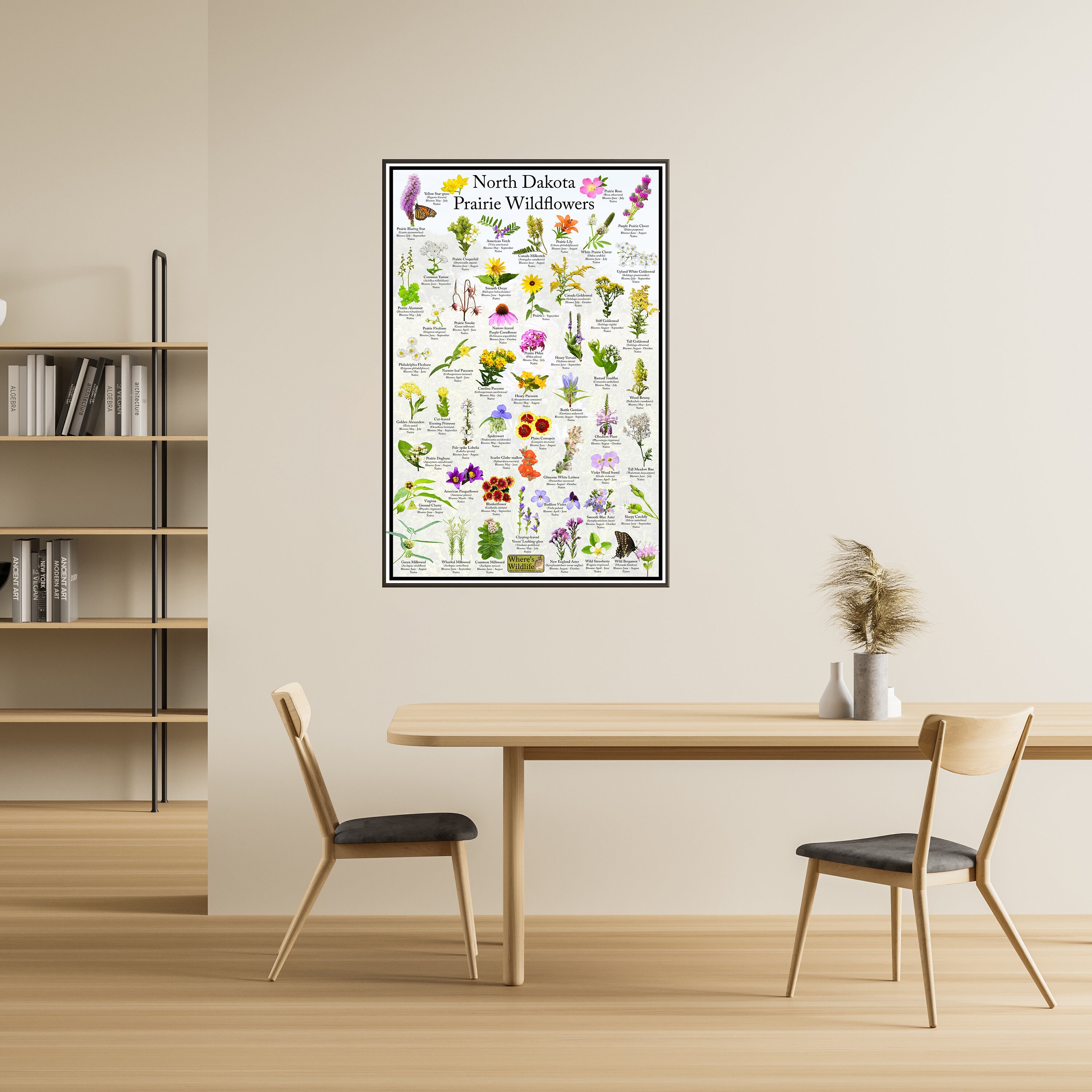 North Dakota Prairie Wildflower Poster / State Flower Guide Providing ...